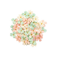 Prima - Apricot Honey Collection - Flower Embellishments - Bits & Pieces