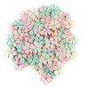 Prima - Dulce Collection - Flower Embellishments - Magical Lights