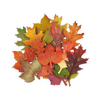 Prima - Pumpkin and Spice Collection - Flower Embellishments - Fall Leaves