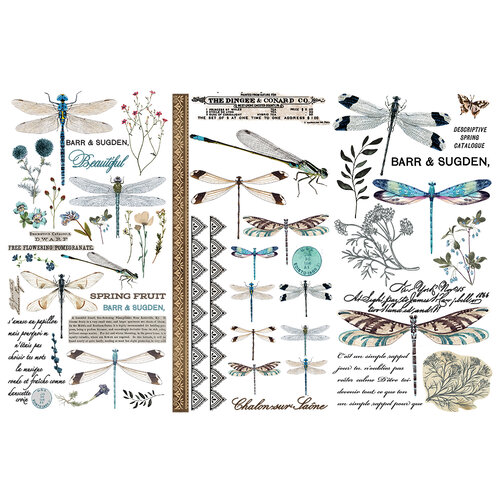 Re-Design - Furniture Transfers - Spring Dragonfly