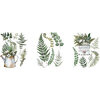 Re-Design - Furniture Transfers - Botanical Snippets