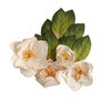 Prima - Magnolia Rouge Collection - Flower Embellishments - Peaceful Magnolia