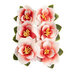 Prima - Magnolia Rouge Collection - Flower Embellishments - Blushing Florals