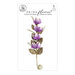 Prima - Aquarelle Dreams Collection - Flower Embellishments - Wilderness