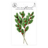 Prima - Candy Cane Lane Collection - Christmas - Flower Embellishments - Mistletoe Kisses