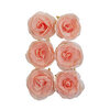 Prima - The Plant Department Collection - Flower Embellishments - Peachy Keen