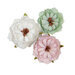 Prima - Avec Amour Collection - Flower Embellishments - With Amour