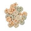 Prima - In The Moment Collection - Flower Embellishments - In No Time