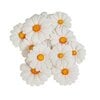 Prima Marketing - In Full Bloom Collection - Flower Embellishments - Garden Whispers