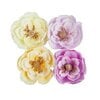 Prima Marketing - In Full Bloom Collection - Flower Embellishments - Sun Kissed Calm
