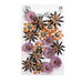 Prima Marketing - Bewitched Collection - Flower Embellishments - Witch Hazel