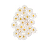 Prima - Among The Wildflowers Collection - Flowers - White Meadow