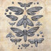Prima - Finnabair Collection - Moulds - Nocturnal Insects