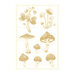 P13 - Forest Tea Party Collection - Light Chipboard Embellishments - Set 03