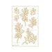 P13 - Woodland Cuties Collection - Light Chipboard Embellishments - 06