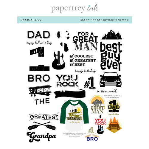 Papertrey Ink - Clear Photopolymer Stamps - Special Guy