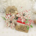 Papertrey Ink - Christmas - Metal Dies - Into the Blooms - Poinsettias