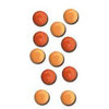 Queen and Company - Basic Brads - Round - 5mm - Oranges, CLEARANCE