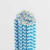 Queen and Company - Perfect Party Collection - Drinking Straws - Chevron - Blueberry Bliss