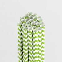 Queen and Company - Perfect Party Collection - Drinking Straws - Chevron - Kiwi Kiss