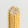 Queen and Company - Perfect Party Collection - Drinking Straws - Floral - Lemon Drop