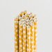 Queen and Company - Perfect Party Collection - Drinking Straws - Floral - Lemon Drop