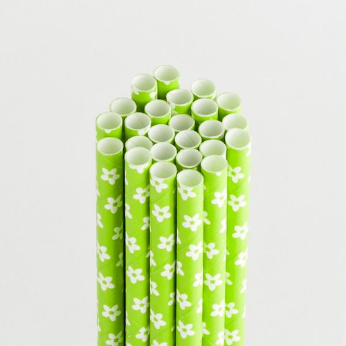 Queen and Company - Perfect Party Collection - Drinking Straws - Floral - Kiwi Kiss