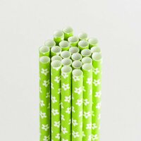 Queen and Company - Perfect Party Collection - Drinking Straws - Floral - Kiwi Kiss