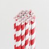 Queen and Company - Perfect Party Collection - Drinking Straws - Stripe - Cherry Bomb