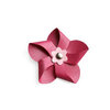 Lifestyle Crafts - QuicKutz - Die Cutting Template - Flower Pinwheel