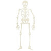 Lifestyle Crafts - Halloween - Die Cutting Template - Skeleton