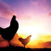 Reminisce - Chicken Life Collection - 12 x 12 Double Sided Paper - Sunrise On The Farm