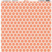 Ella and Viv Paper Company - Coral Patterns Collection - 12 x 12 Paper - Eight
