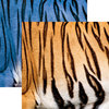 Ella and Viv Paper Company - Animal Kingdom Collection - 12 x 12 Double Sided Paper - Bengal Tiger