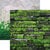 Ella and Viv Paper Company - Urban Excursion Collection - 12 x 12 Double Sided Paper - Moss Wall