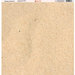 Ella and Viv Paper Company - Shades of Sand Collection - 12 x 12 Paper - Five