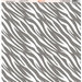 Ella and Viv Paper Company - Zebra Party Collection - 12 x 12 Paper - Three