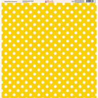 Ella and Viv Paper Company - Magical Dots and Damask Collection - 12 x 12 Paper - Two