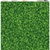 Ella and Viv Paper Company - The Great Outdoors Collection - 12 x 12 Paper - All Over Green Leaves