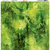 Ella and Viv Paper Company - Watercolor Dreams Collection - 12 x 12 Paper - Jungle Flowers Watercolor