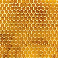 Ella and Viv Paper Company - 100 Percent Natural Collection - 12 x 12 Paper - Honeycomb