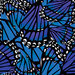 Ella and Viv Paper Company - The Butterfly Effect Collection - 12 x 12 Paper - Butterfly Wings