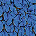 Ella and Viv Paper Company - The Butterfly Effect Collection - 12 x 12 Paper - Blue Butterflies
