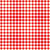 Ella and Viv Paper Company - Perfectly Plaid Collection - 12 x 12 Paper - Picnic Plaid