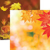 Ella and Viv Paper Company - Glorious Autumn Collection - 12 x 12 Double Sided Paper - Glorious Autumn