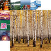 Reminisce - Happy Camper Collection - 12 x 12 Double Sided Paper - Forest for the Trees