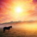 Reminisce - 12 x 12 Double Sided Paper - Horse at Sunrise