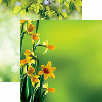 Reminisce - Hello Spring Collection - 12 x 12 Double Sided Paper - Daffodils