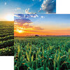 Ella and Viv Paper Company - In The Field Collection - 12 x 12 Double Sided Paper - Corn