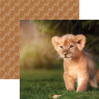 Reminisce - King of the Jungle Collection - 12 x 12 Double Sided Paper - Lion Cub